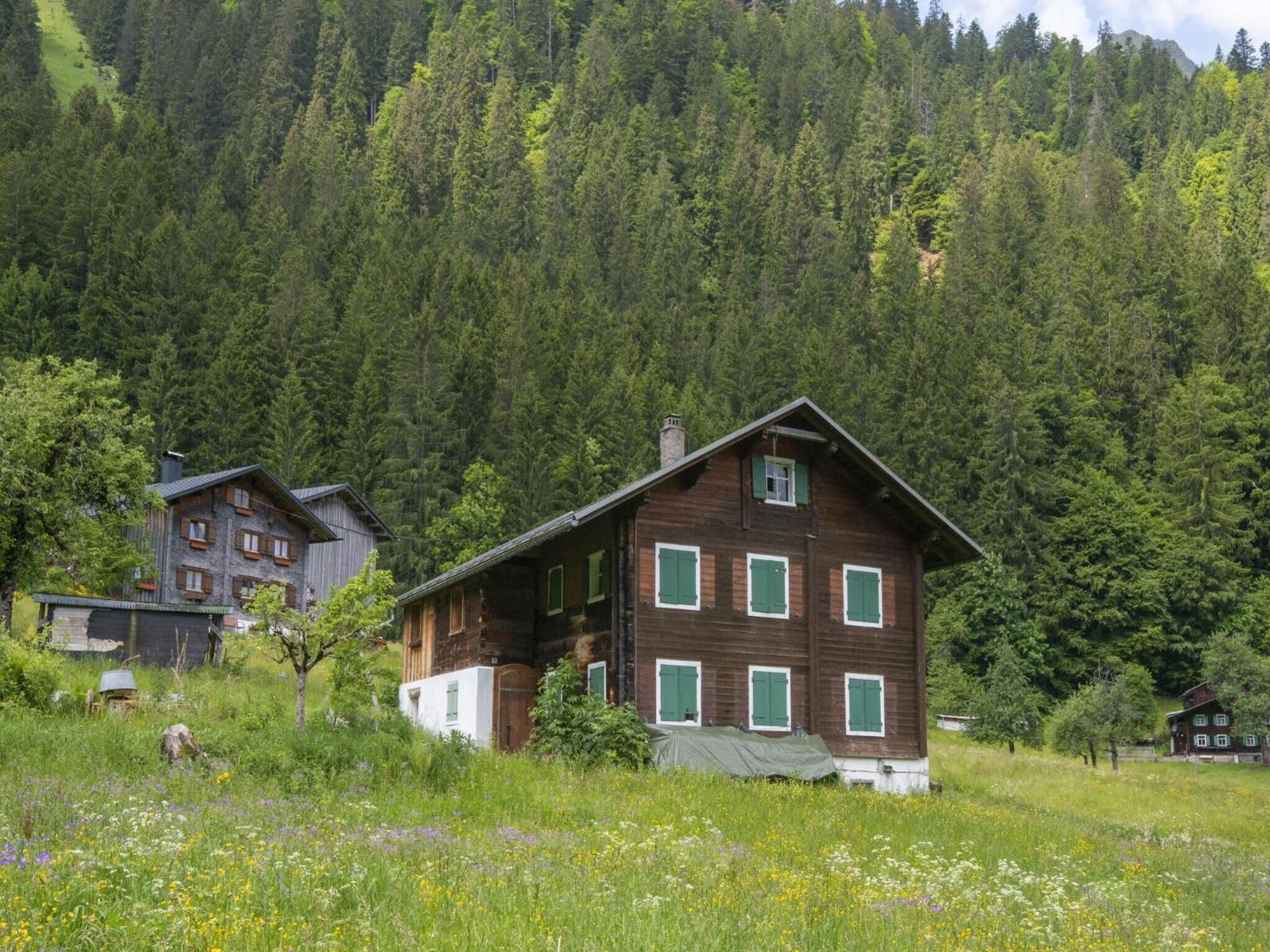 Holiday Home Near Ski Resort In St Gallenkirch سانكت غالنكرش المظهر الخارجي الصورة